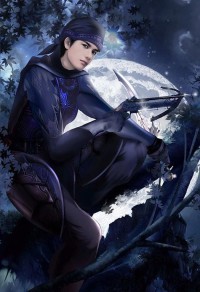 帝龍決