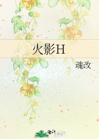 火影H