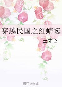 穿越民国之红蜻蜓