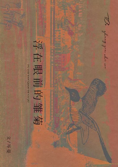 浮在眼前的雛菊